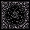 Paisley Black, Bandanna